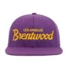 Brentwood Lakers Snapback Hat -Rowingblazersus Shop HoodHats BrentwoodConcord Front 521f8db7 d61e 4b6b 9edc b2b46dc04049