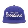 Brentwood Dodgers Snapback Hat -Rowingblazersus Shop HoodHats BrentwoodRoyal Front 11928cff d879 4ffe b2e8 363c2274a56d