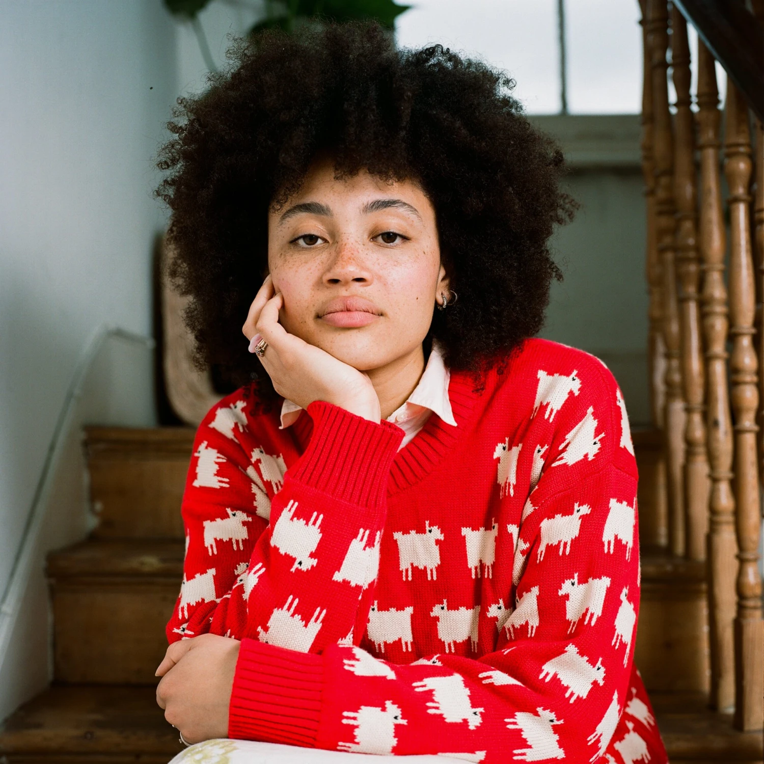 Warm & Wonderful Women's Fitted "Diana Edition" Cotton Sheep Sweater 5 Warm & Wonderful Women's Fitted "Diana Edition" Cotton Sheep Sweater - Image 3