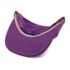 Phoenix Snapback Hat -Rowingblazersus Shop hood phoenix bottom eef1c456 016a 47b5 aec9 431631cf0bce